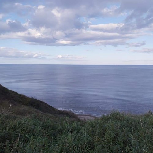 The Area